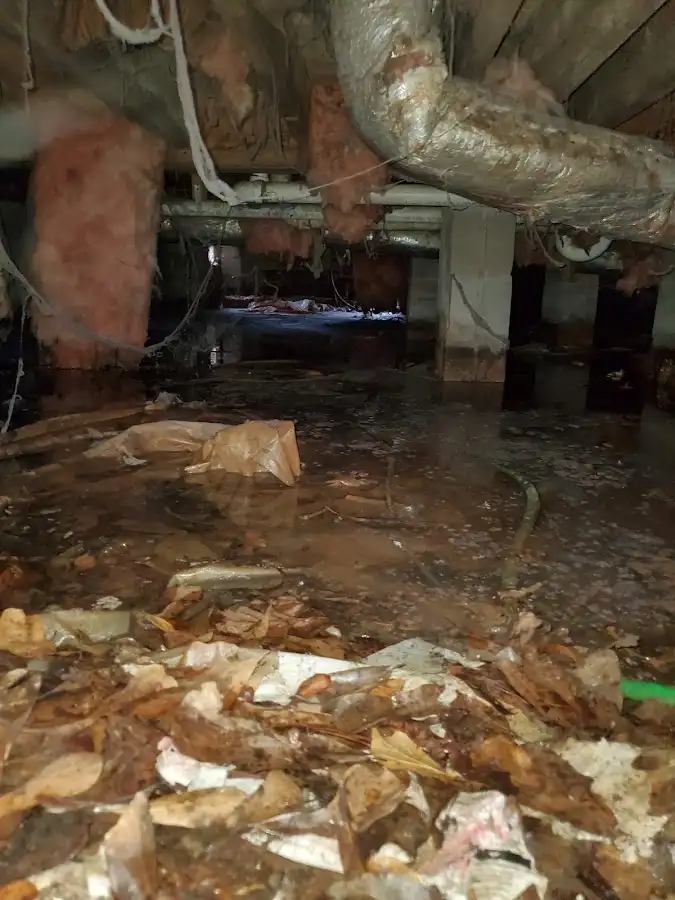 Crawl space flood assessment for Commercial Water Damage Restoration in Pemberton